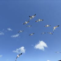 評論圖片 3