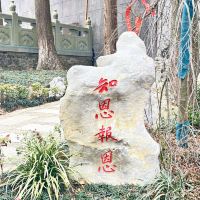 評論圖片 2