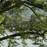 評論圖片 7