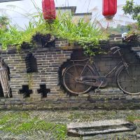 評論圖片 1