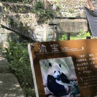 評論圖片 2