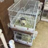 評論圖片 9