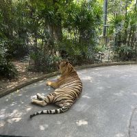 評論圖片 3