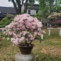 評論圖片 8