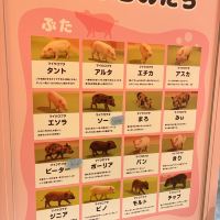 評論圖片 4