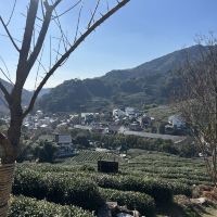 評論圖片 2