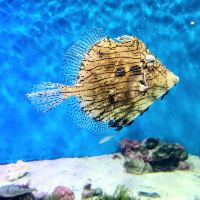 評論圖片 3