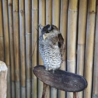 評論圖片 5