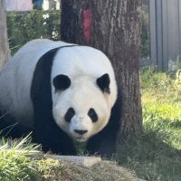 評論圖片 4
