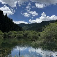 評論圖片 3