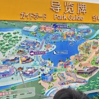 評論圖片 4