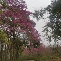 評論圖片 5
