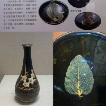評論圖片 3
