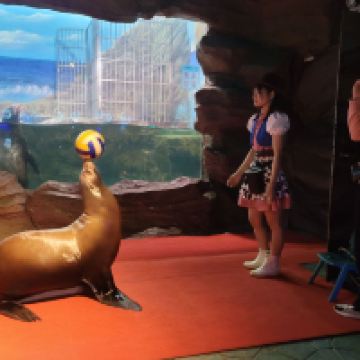 評論圖片 3