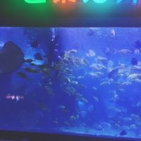 評論圖片 9