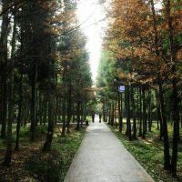 評論圖片 2