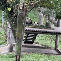 評論圖片 4