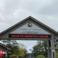 評論圖片 1