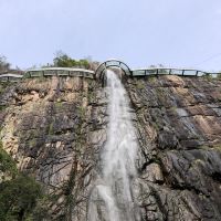 評論圖片 8