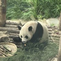 評論圖片 4