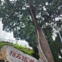 評論圖片 8