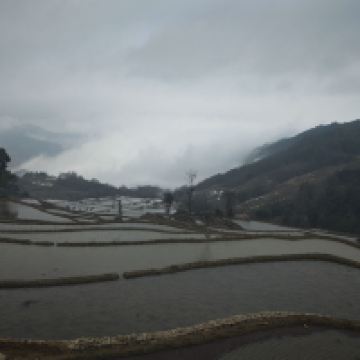 評論圖片 4