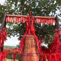 評論圖片 7