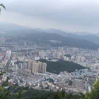 評論圖片 4