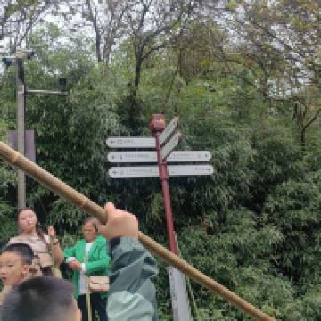 評論圖片 6