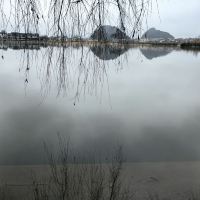評論圖片 5