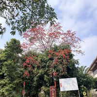 評論圖片 3