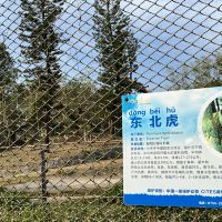評論圖片 6