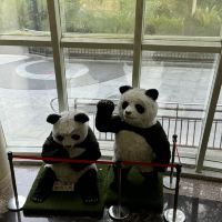 評論圖片 4