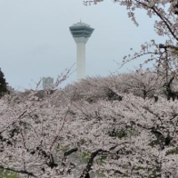 評論圖片 2