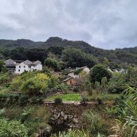評論圖片 7