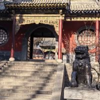 評論圖片 2