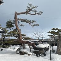 評論圖片 2