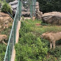 評論圖片 5