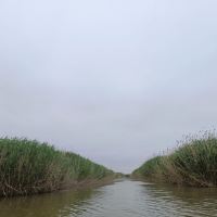 評論圖片 8