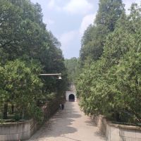 評論圖片 6