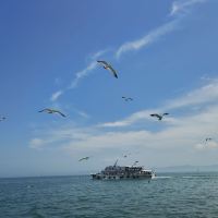 評論圖片 6