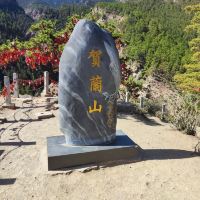 評論圖片 5