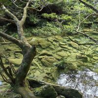 評論圖片 3