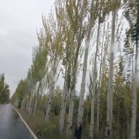 評論圖片 3