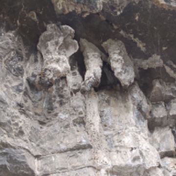 評論圖片 9