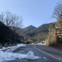 評論圖片 9