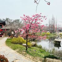 評論圖片 6