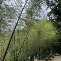 評論圖片 5