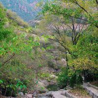 評論圖片 6