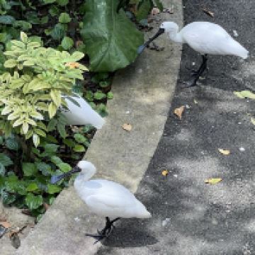 評論圖片 4